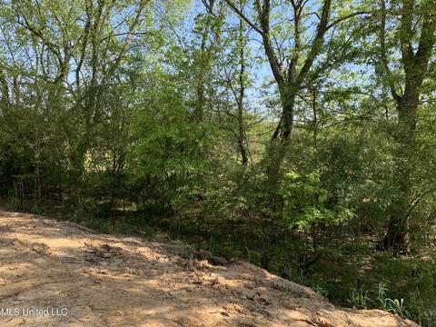 186 Catherine, Clinton, MS 39056 photo 14