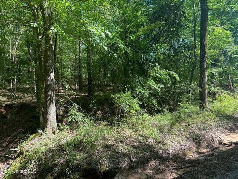 Mill Branch Road, Pulaski, MS 39152 photo 3