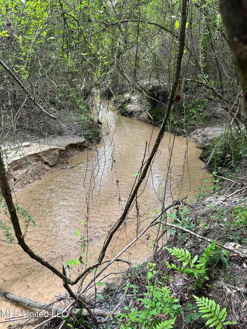 Mill Branch Road, Pulaski, MS 39152 photo 8