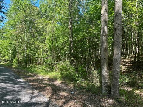 Mill Branch Road, Pulaski, MS 39152 photo 2