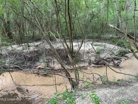 Mill Branch Road, Pulaski, MS 39152 photo 6
