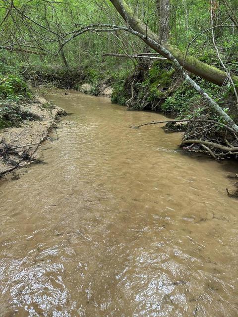Mill Branch Road, Pulaski, MS 39152 photo 7