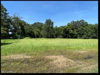 Harris Lane, Madison, MS 39110 photo 3