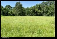 Harris Lane, Madison, MS 39110 photo 2