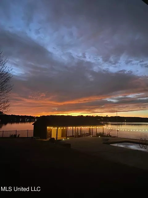 101 Audubon Point Dr, Brandon, MS 39047 photo 89