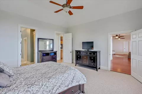 101 Audubon Point Dr, Brandon, MS 39047 photo 25