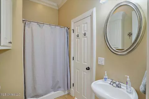 101 Audubon Point Dr, Brandon, MS 39047 photo 57
