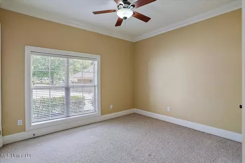 101 Audubon Point Dr, Brandon, MS 39047 photo 52
