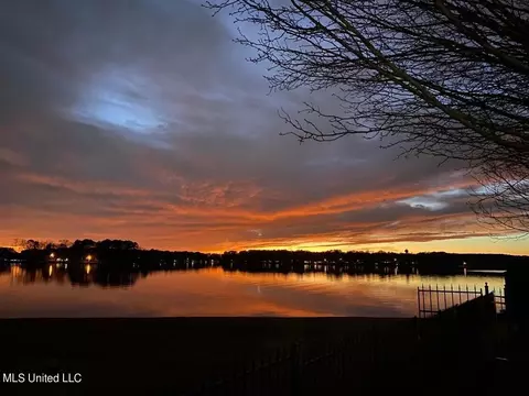 101 Audubon Point Dr, Brandon, MS 39047 photo 91