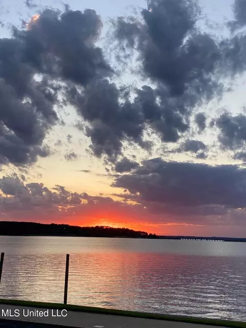 101 Audubon Point Dr, Brandon, MS 39047 photo 90