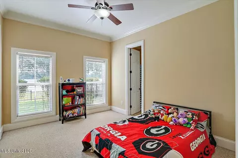 101 Audubon Point Dr, Brandon, MS 39047 photo 54