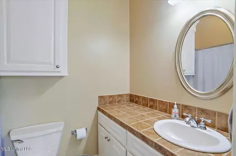 101 Audubon Point Dr, Brandon, MS 39047 photo 53