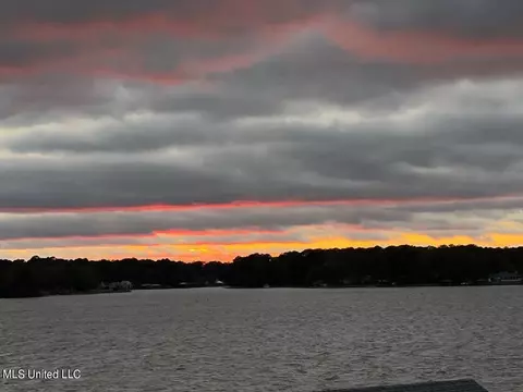101 Audubon Point Dr, Brandon, MS 39047 photo 93