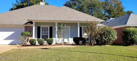 503 Edge Water Branch Dr, Brandon, MS 39042 photo 1