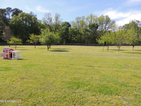 101 Dkh Cv, Coldwater, MS 38618 photo 34