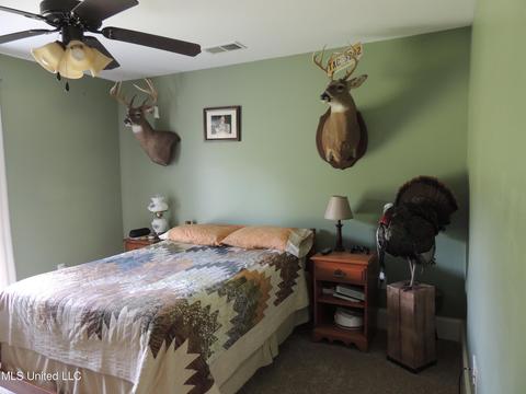 101 Dkh Cv, Coldwater, MS 38618 photo 22