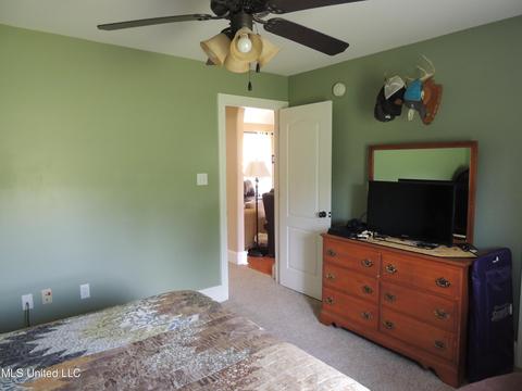 101 Dkh Cv, Coldwater, MS 38618 photo 23
