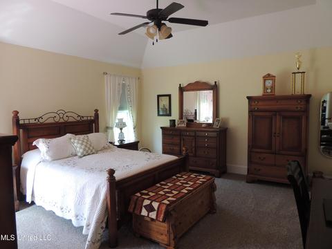 101 Dkh Cv, Coldwater, MS 38618 photo 15