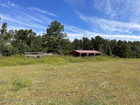 554 City Rd, Perkinston, MS 39573 photo 24