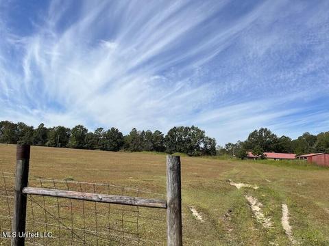 554 City Rd, Perkinston, MS 39573 photo 26