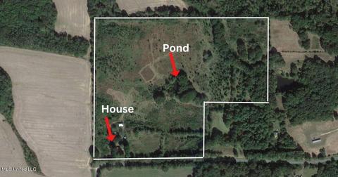 1653 Barr Rd, Coldwater, MS 38618 photo 29
