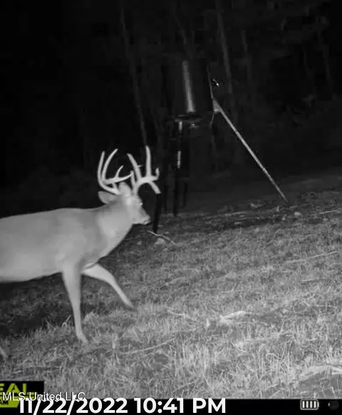 Mt Pleasant Road, Noxapater, MS 39346