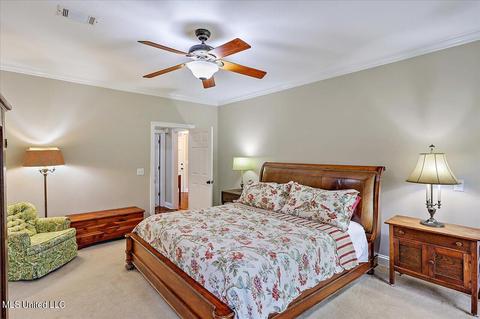104 Silvertree Xing, Madison, MS 39110 photo 19