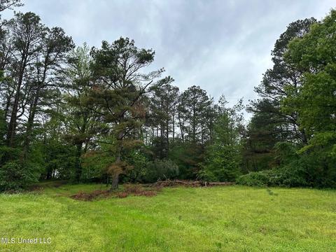Watson-desoto Road, Byhalia, MS 38611