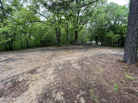 44 County Road 517, Como, MS 38619 photo 106