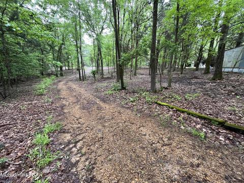 44 County Road 517, Como, MS 38619 photo 101