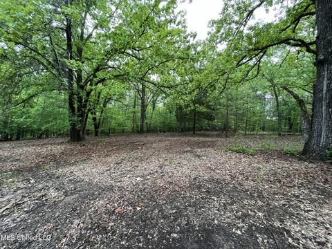 44 County Road 517, Como, MS 38619 photo 107