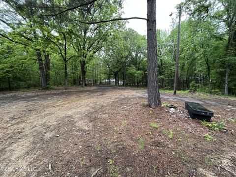 44 County Road 517, Como, MS 38619 photo 105