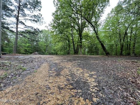 44 County Road 517, Como, MS 38619 photo 103