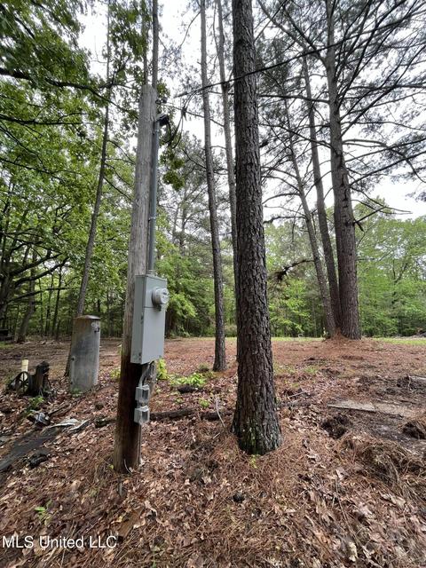44 County Road 517, Como, MS 38619 photo 109