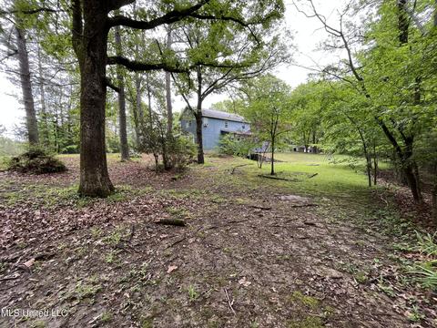 44 County Road 517, Como, MS 38619 photo 9