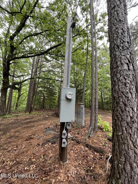 44 County Road 517, Como, MS 38619 photo 108