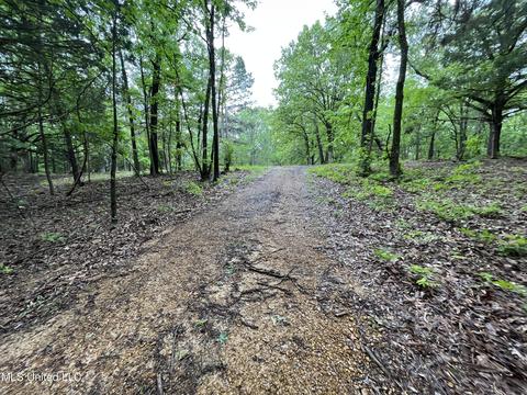 44 County Road 517, Como, MS 38619 photo 102