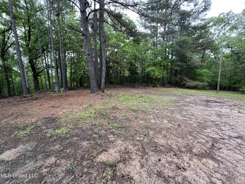 44 County Road 517, Como, MS 38619 photo 104