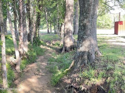 5008 Allen Rd, Hernando, MS 38632 photo 10