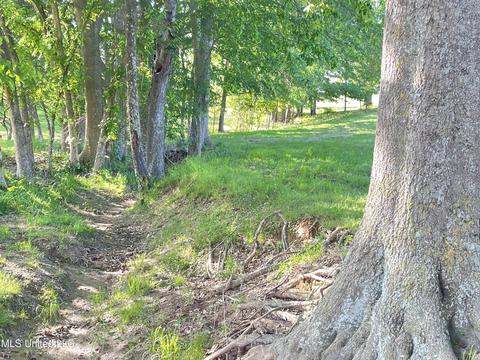 5008 Allen Rd, Hernando, MS 38632 photo 17