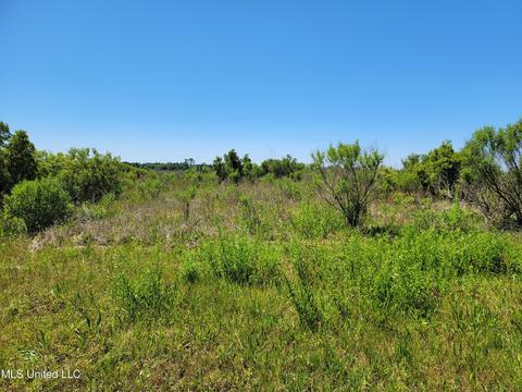 10067 W Redfish St, Bay Saint Louis, MS 39520