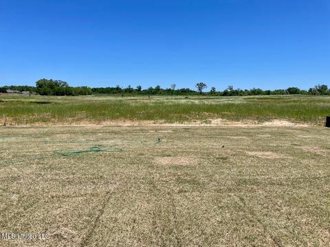 225 Baleigh Dr, Canton, MS 39046 photo 22