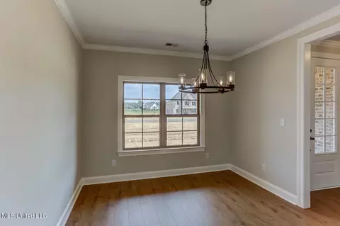 4807 Taylor Trl, Hernando, MS 38632 photo 12