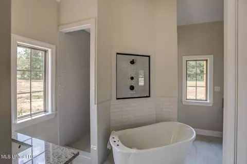 4807 Taylor Trl, Hernando, MS 38632 photo 13