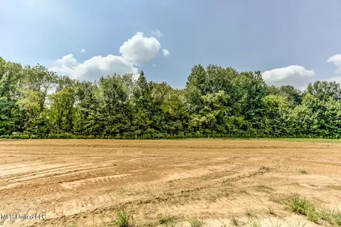 4807 Taylor Trl, Hernando, MS 38632 photo 7