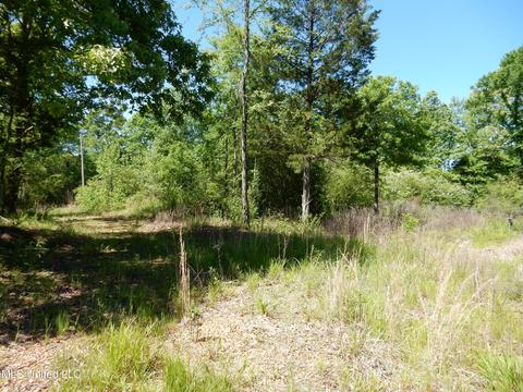 11 Sunset Dr, Coldwater, MS 38618 photo 5