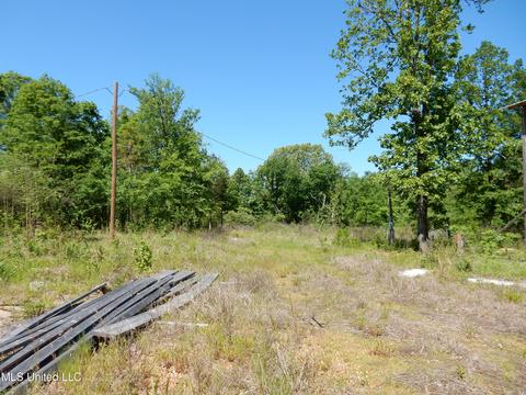 11 Sunset Dr, Coldwater, MS 38618 photo 3