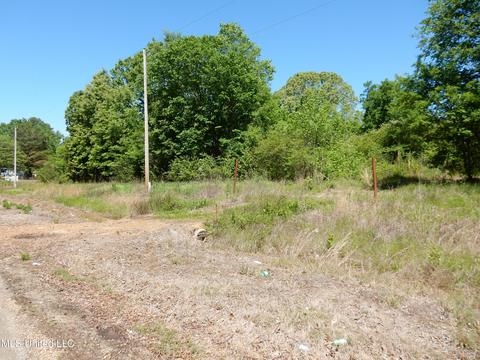 11 Sunset Dr, Coldwater, MS 38618 photo 11