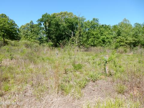 11 Sunset Dr, Coldwater, MS 38618 photo 6