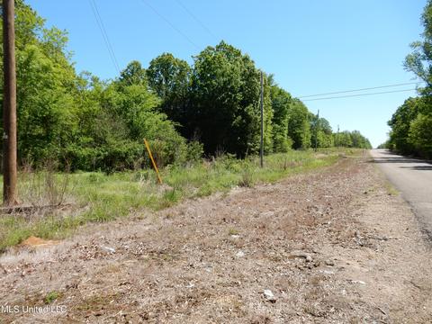 11 Sunset Dr, Coldwater, MS 38618 photo 13